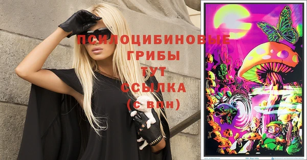 первитин Алексин