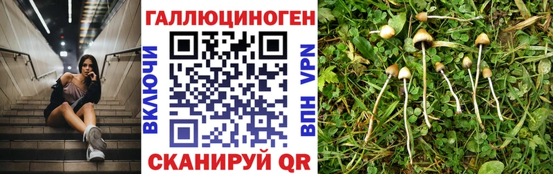 Псилоцибиновые грибы мицелий  OMG ТОР  Большой Камень 